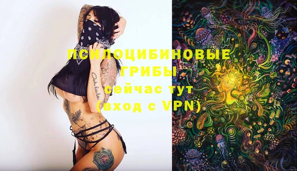 гашиш Аркадак