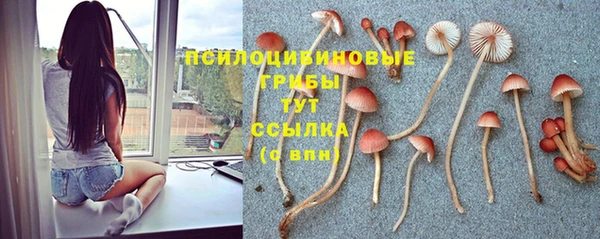 гидропоника Арсеньев