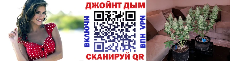 где продают наркотики  Шацк  Конопля тримм 